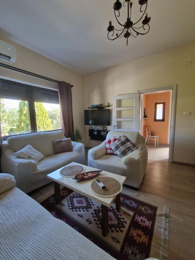 House 11 Apartment Nikšić Bagian luar foto