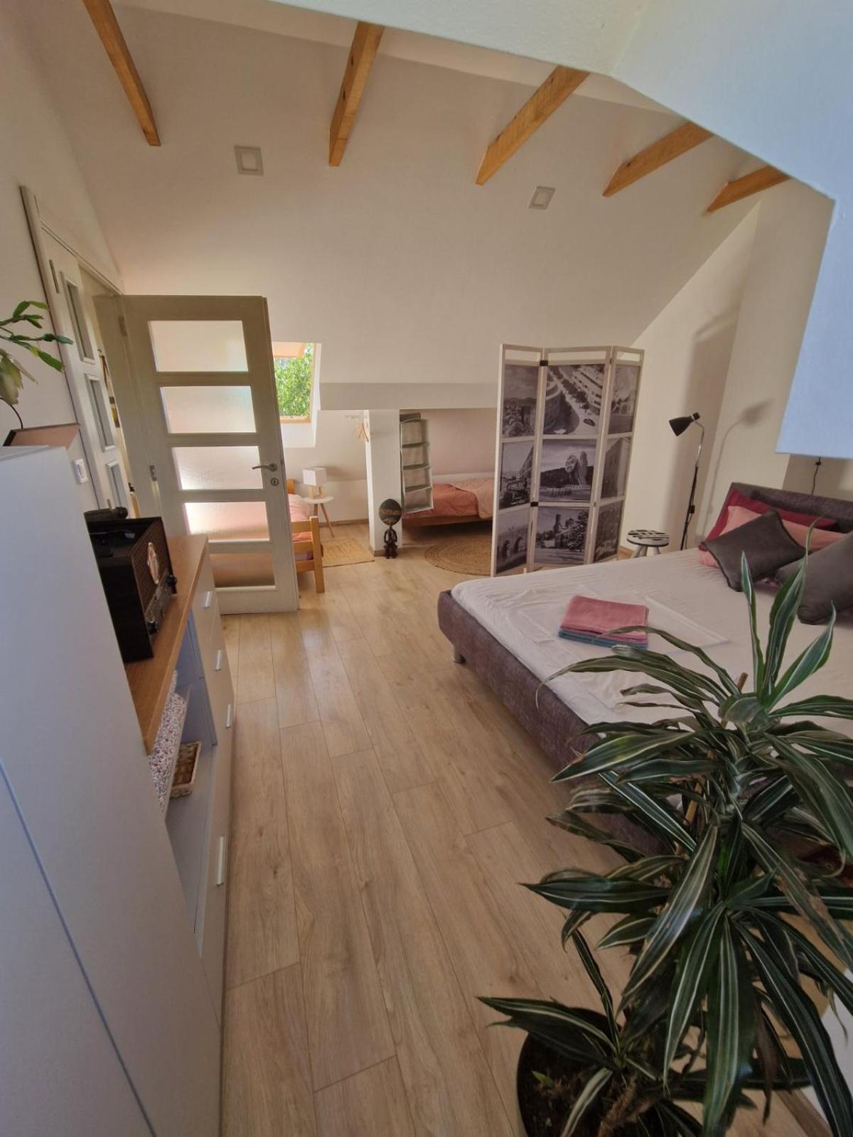 House 11 Apartment Nikšić Bagian luar foto